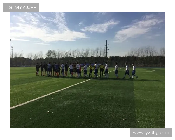 江苏省城市足球联赛南京赛区最新积分榜排名动态解析